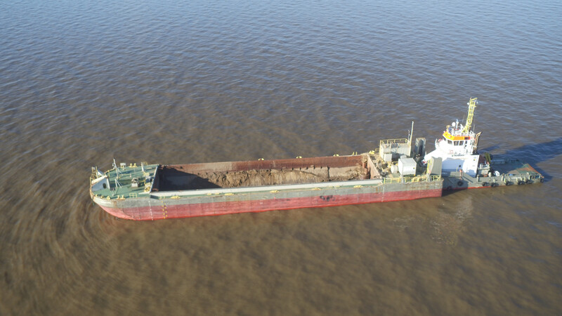 Terraferre 301 302 (Plant Photo)