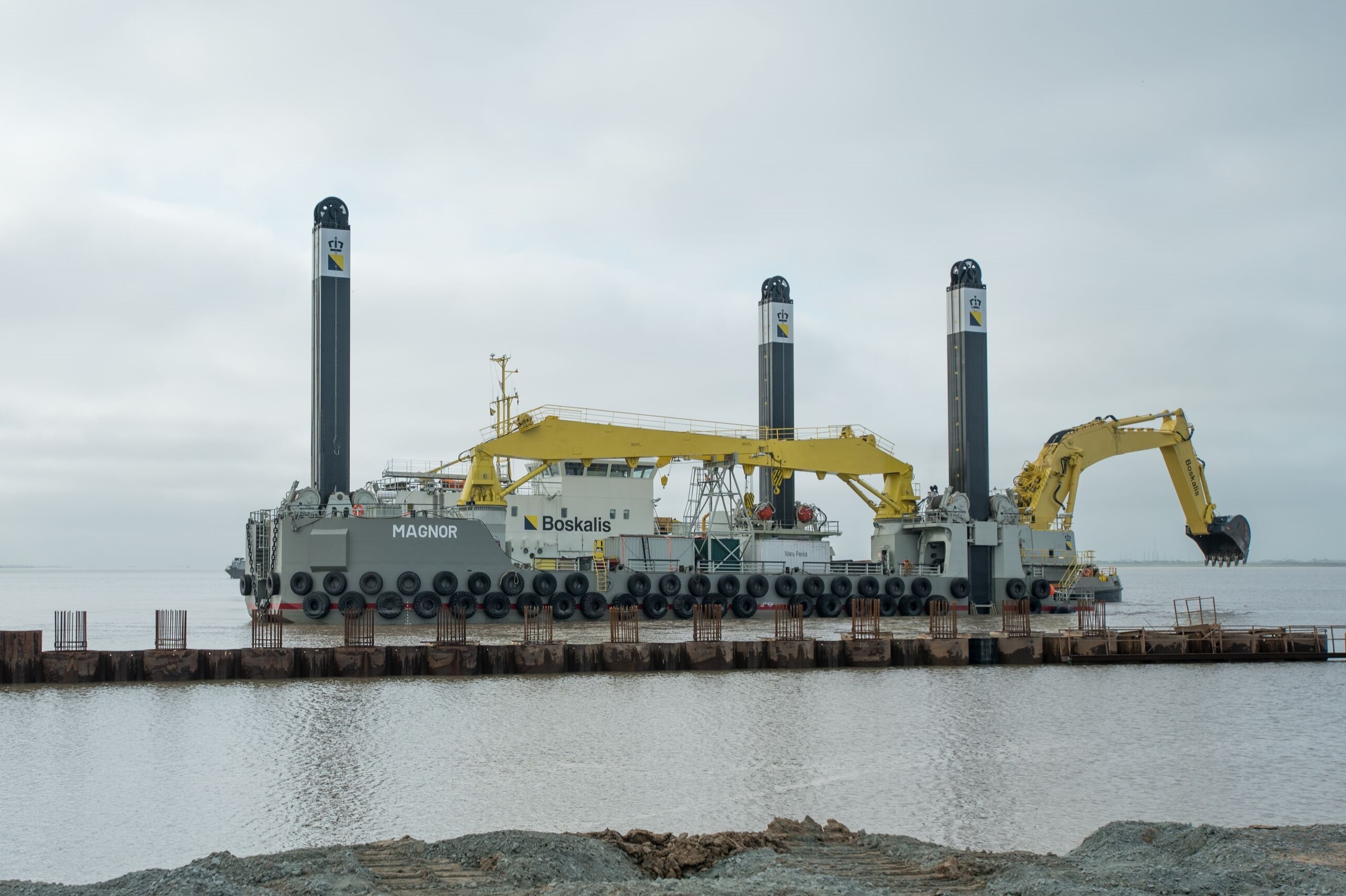 Magnor (Plant Photo)