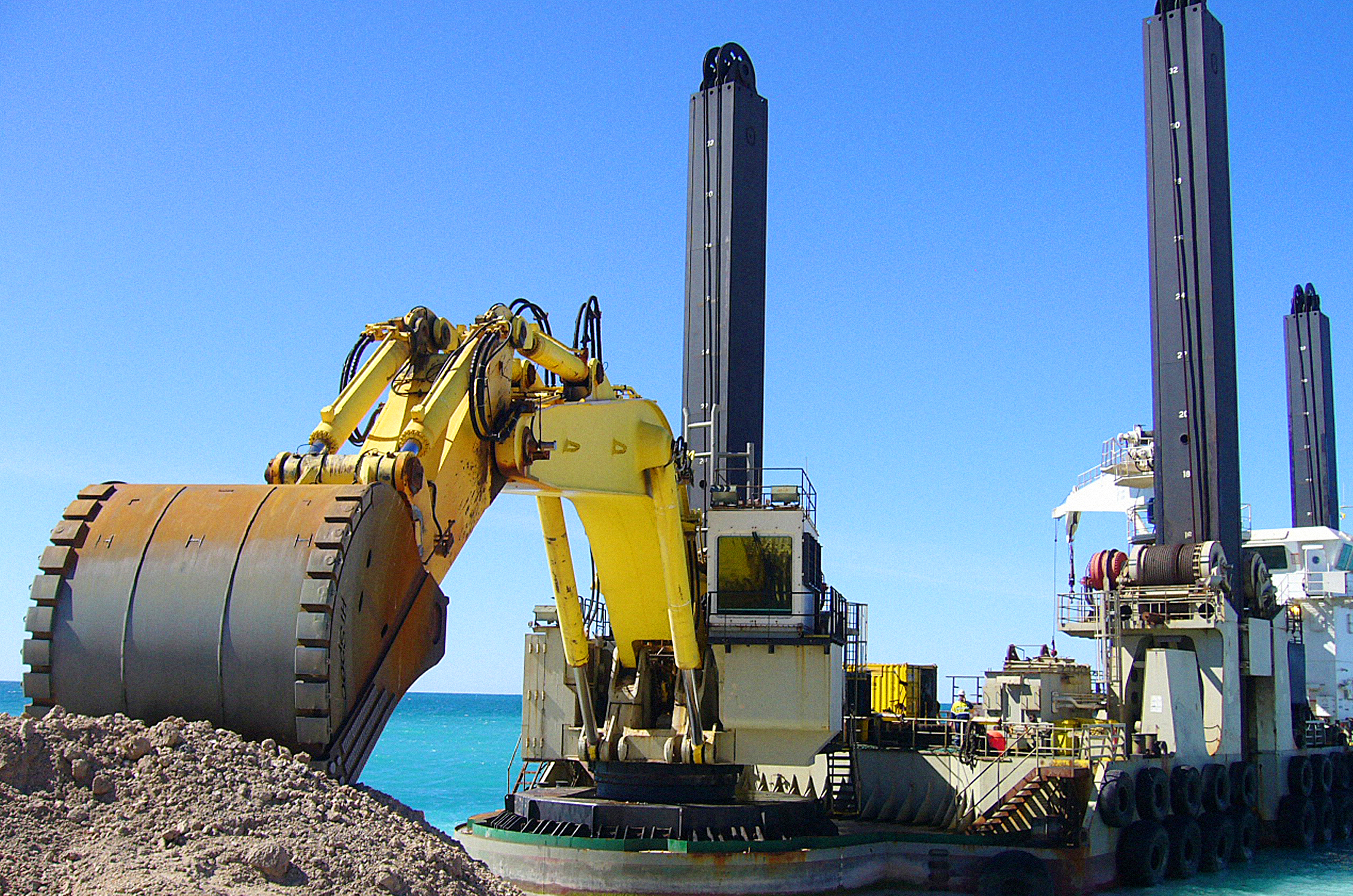 Baldur (Plant Photo)