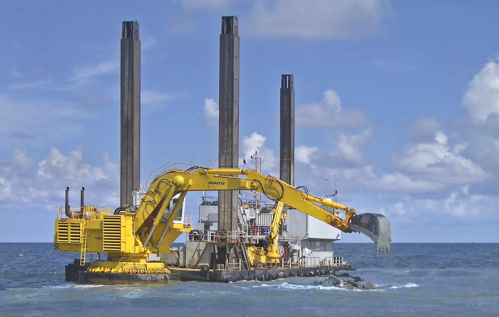 Cornelius (Plant Photo)