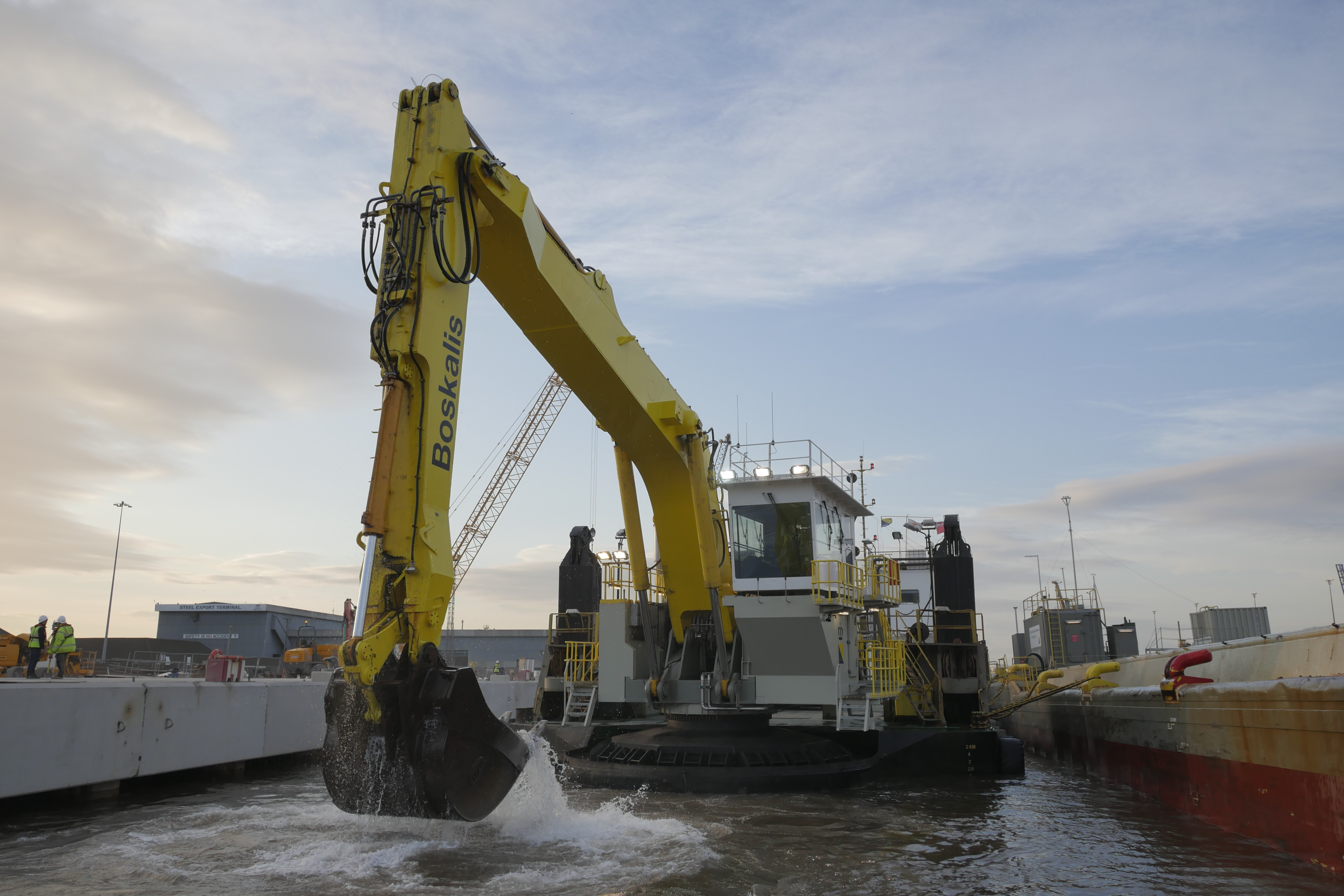 Manu Pekka (Plant Photo)